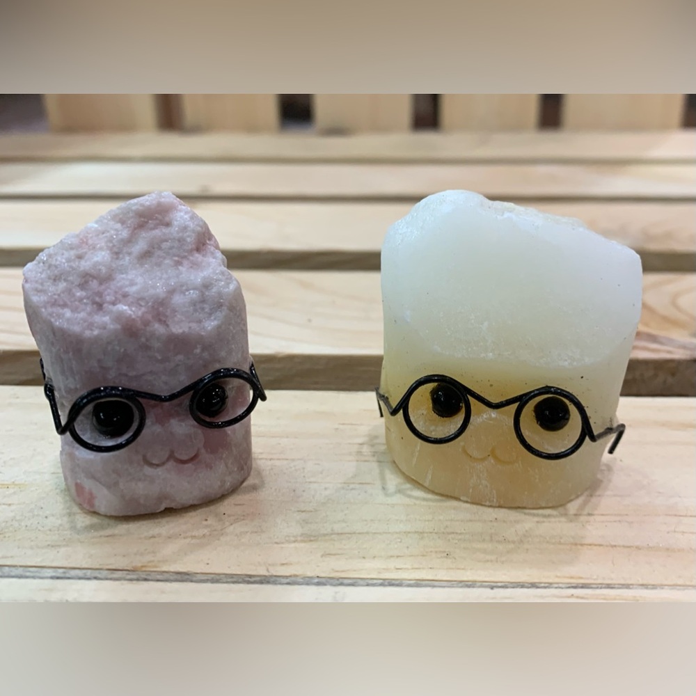 Critters with Glasses